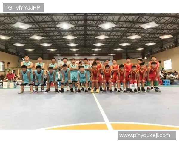 杨静独家分享篮球心得与技巧助你提升球技和战术理解