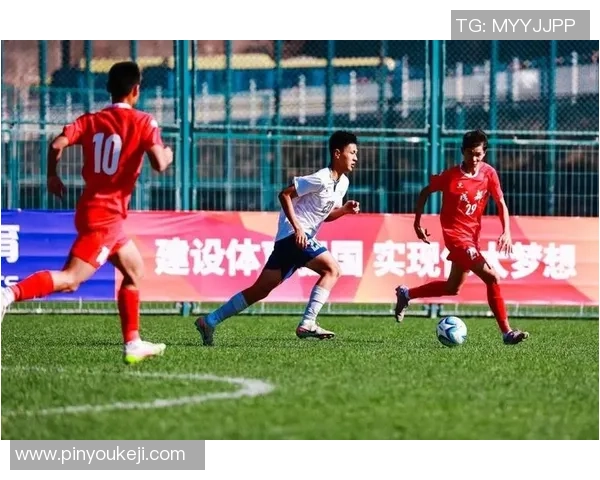 武汉足球队在全国锦标赛中的技术表现分析与点评